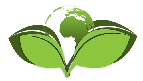 Green-Cleaning--in-Homer-Ohio-green-cleaning-homer-ohio.jpg-image